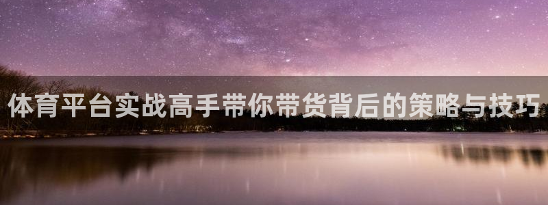 体育平台实战高手带你带货背后的策略与技巧