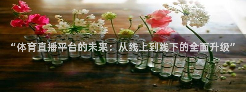 “体育直播平台的未来：从线上到线下的全面升级”