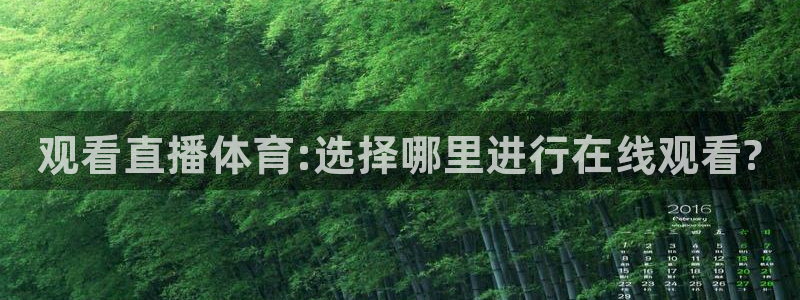 观看直播体育:选择哪里进行在线观看?