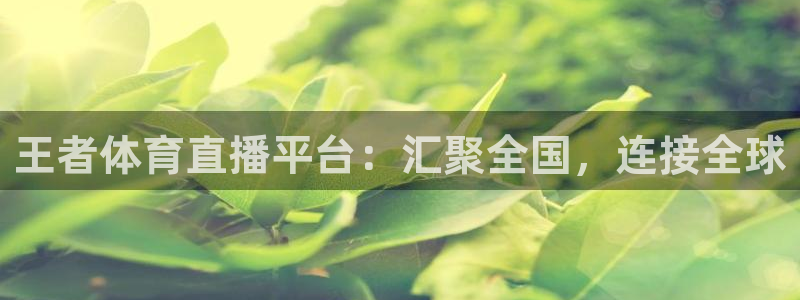 王者体育直播平台：汇聚全国，连接全球