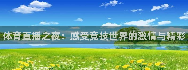 体育直播之夜：感受竞技世界的激情与精彩