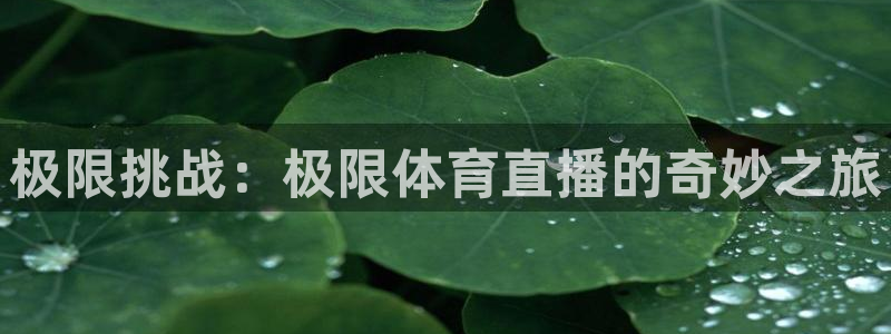 极限挑战：极限体育直播的奇妙之旅
