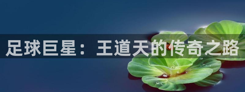 足球巨星：王道天的传奇之路