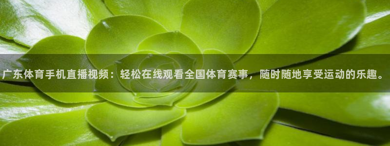 广东体育手机直播视频：轻松在线观看全国体育赛事，随时随地享受运动的乐趣。